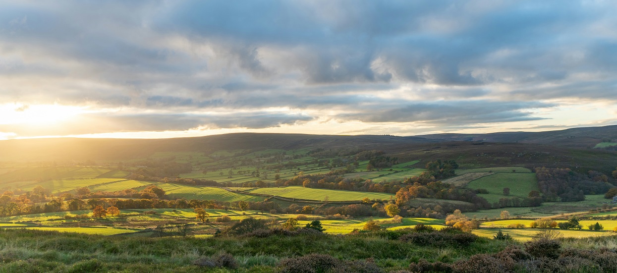 yorkshire moors