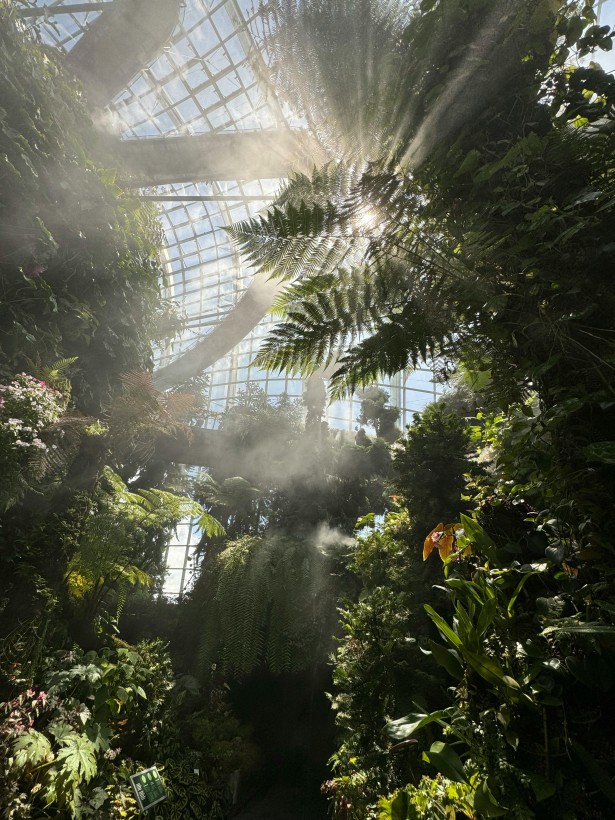#75 Find peace in plants at the Barbican Conservatory 